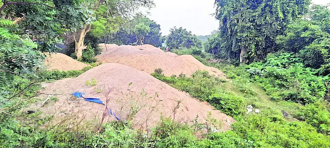 పగలు