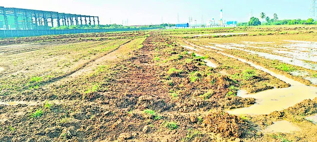 పరిహా
