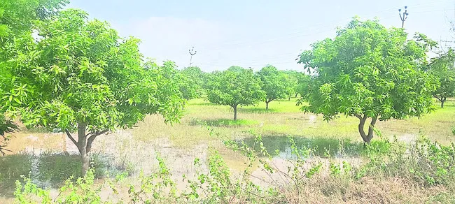 అధిక