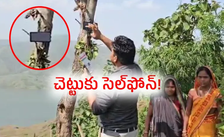 చెట్ల‌కు సెల్‌ఫోన్లు క‌డుతున్నారు.. ఎందుకంటే?