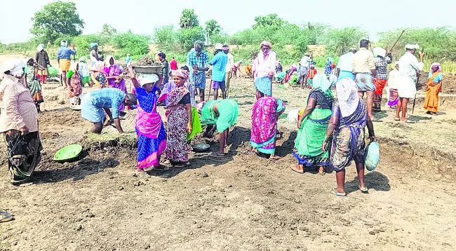 పనుల గుర్తింపునకు గ్రామ సభలు