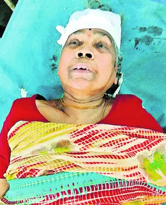 రైలు ఢీకొని వృద్ధురాలికి తీవ్ర గాయాలు