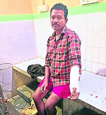 గుత్తిలో పందుల దొంగల బీభత్సం 