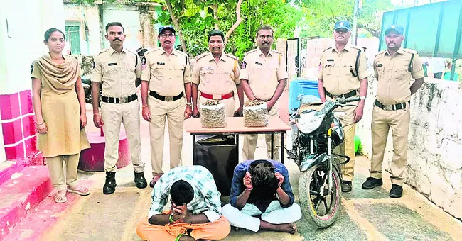 పూజారి ముసుగులో  గంజాయి విక్రయం 