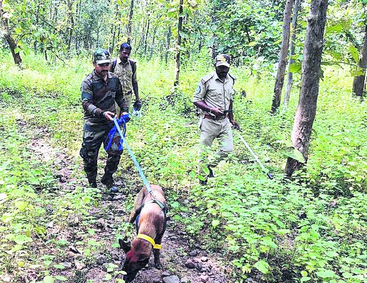 గుర్తు తెలియని వాహనం   ఢీకొని యాచకుడు మృతి
