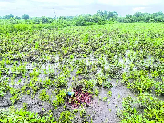 తడిసి ముద్దయింది..