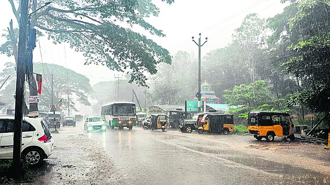 విస్తారంగా వర్షాలు