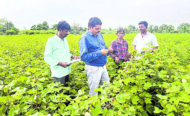 క్రాప