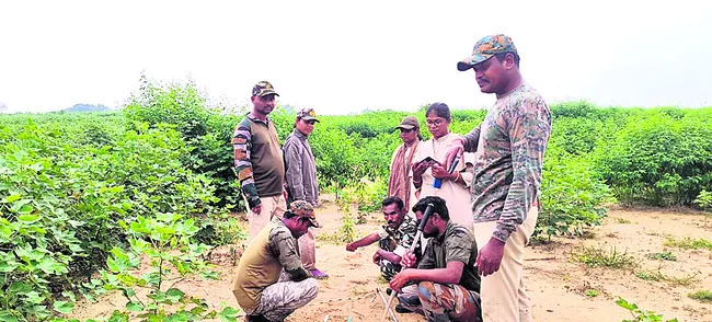 మళ్లీ బెబ్బులి అలజడి