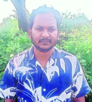 సస్యరక్షణ చర్యలు చేపట్టాలి