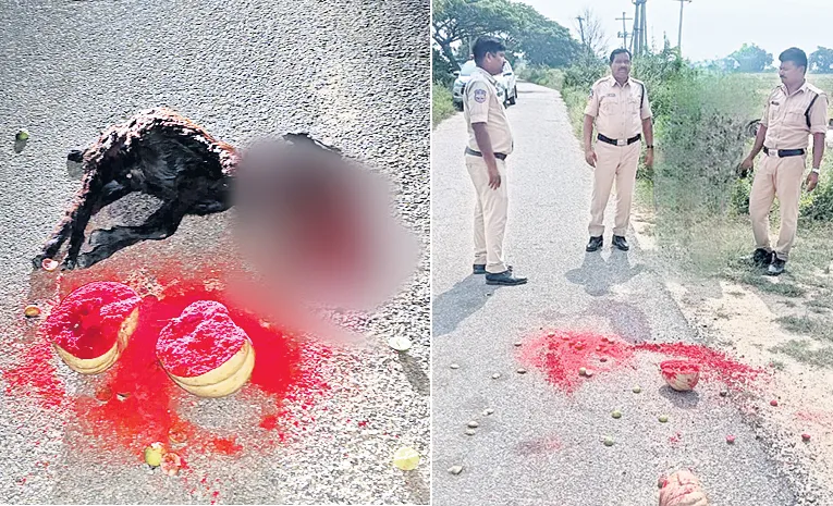అర్ధరాత్రి నడిరోడ్డుపై మేకను బలిచ్చి..!