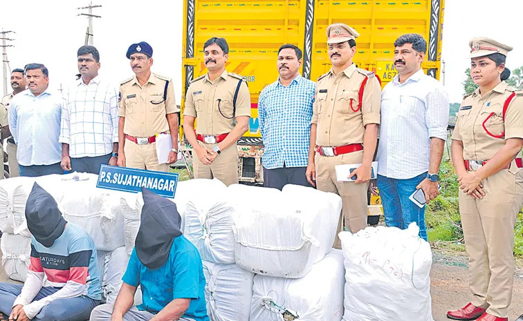 499 కిలోల గంజాయి పట్టివేత