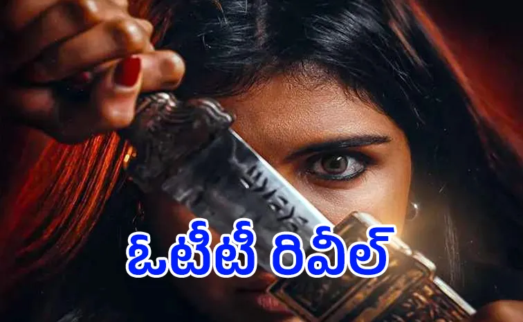 సస్పెన్స్‌కు తెర.. రూ.300 కోట్ల సినిమా ఓటీటీ ఫ్లాట్‌ఫామ్ ఫిక్స్! 