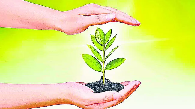 లక్ష్యం.. నిర్లక్ష్యం