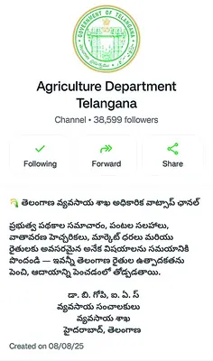 రైతు నేస్తం.. వాట్సాప్ చానల్
