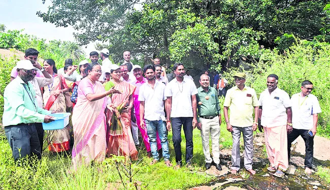 పర్యావరణ పరిరక్షణకు మొక్కలు నాటాలి 