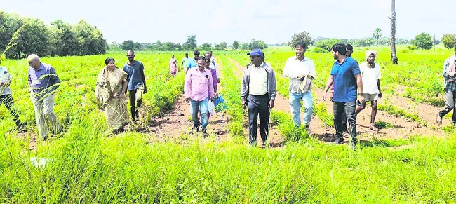 పాటిమట్లలో బునాదిగాని కాల్వ భూసేకరణ సర్వే