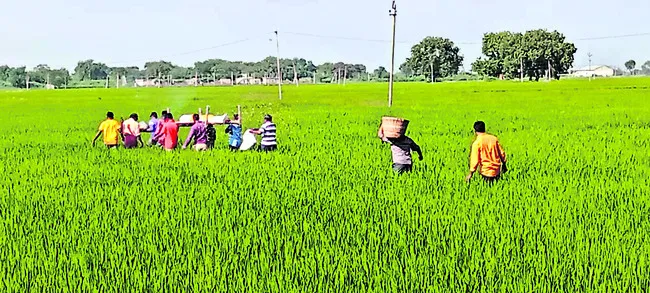 దళితుల శ్మశాన వాటికకు దారేది?
