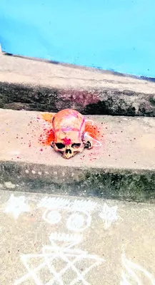 ఇంటి ముందు పుర్రె