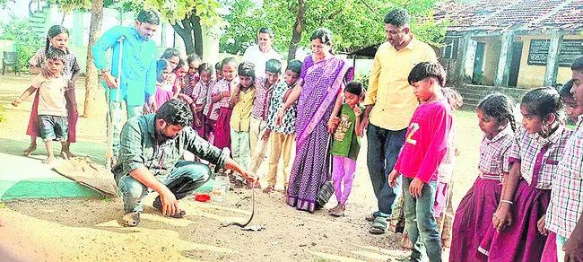 పాఠశాల ఆవరణలో నాగుపాము కలకలం