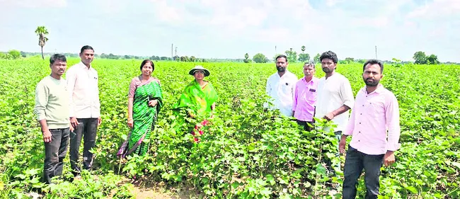 జాగ్రత్తలు పాటిస్తే అధిక దిగుబడులు