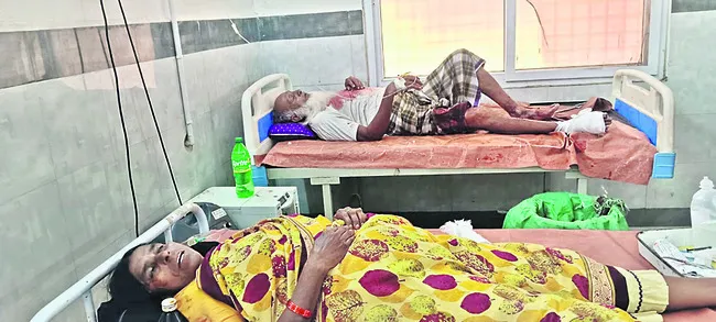 అటవీ