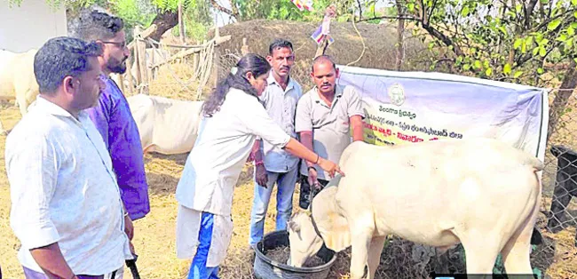 వ్యాధ