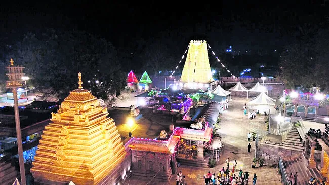 శ్రీగ