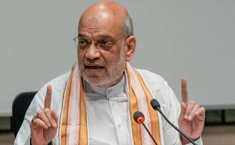 Home Minister Amit Shah Comments On Pakistan