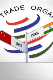 China Files WTO Complaint Against India Over EV Battery Subsidies