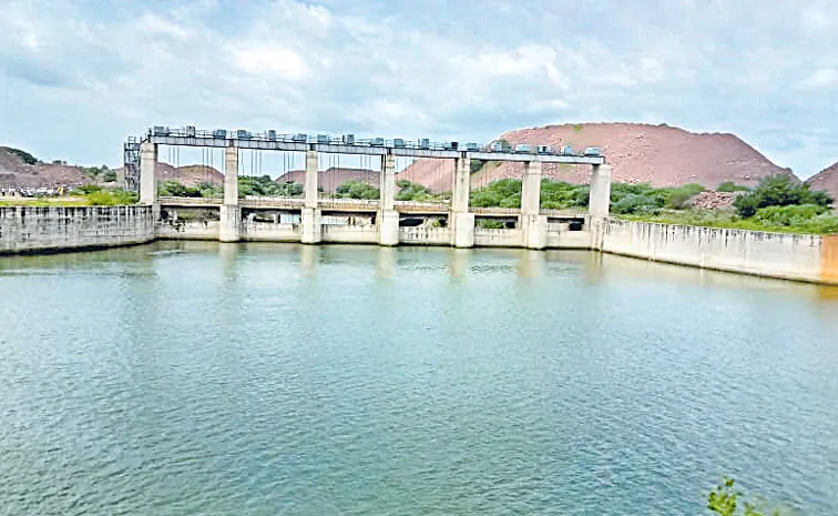 Telangana government letter to the Central Water Resources Department