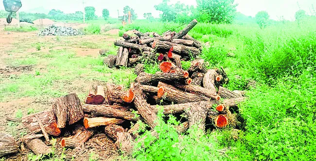 సండ్ర