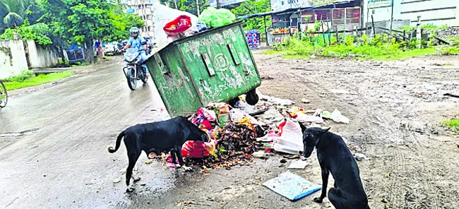 పురపాలికల్లో.. పడకేసిన పారిశుద్ధ్యం
