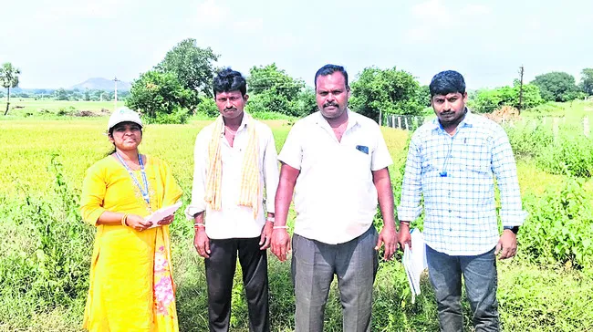 నివేద