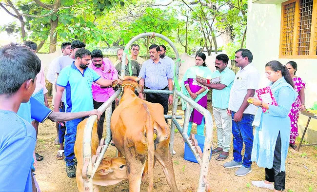 మట్టపల్లిలో నిత్యకల్యాణం