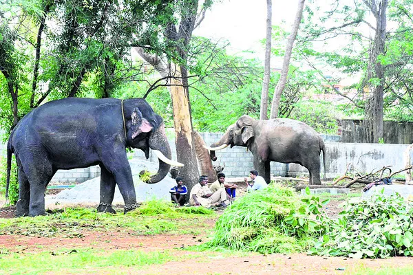 రాష్ట