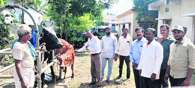 టీకాలతోనే గాలికుంటు వ్యాధి నివారణ