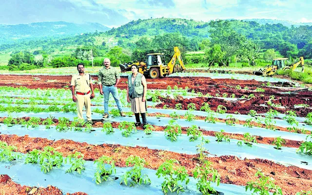 540 ఎకరాల అటవీ భూమి స్వాధీనం