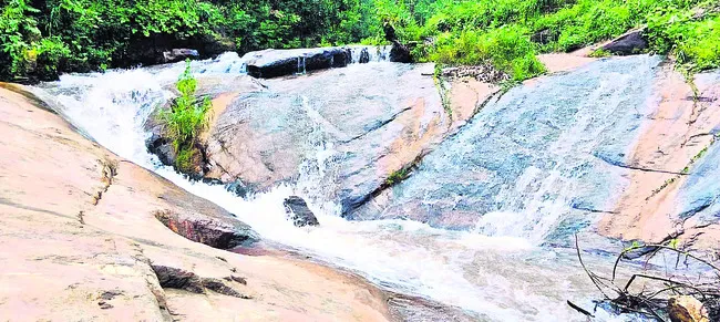 వెంకన్న ఆదాయం రూ.5.19 లక్షలు 