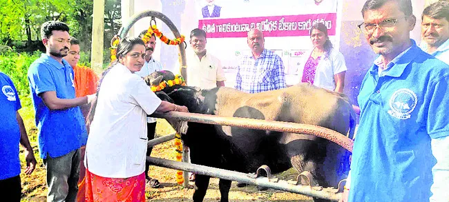 పశువులకు టీకాలు వేయించాలి