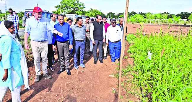 పుష్పగిరి ఆలయాలకు రూ.13,41,000 ఆదాయం