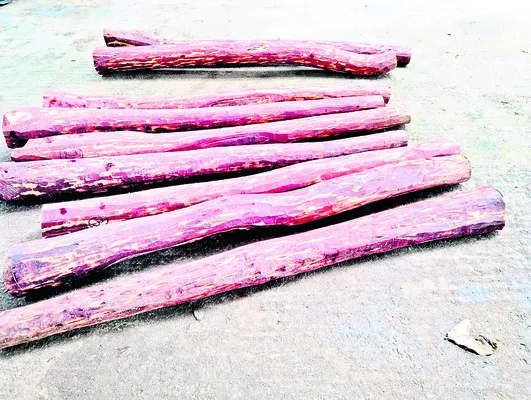 ప్రమా