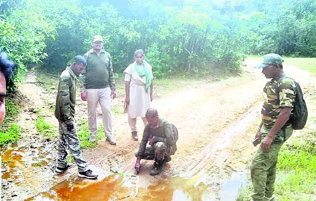 పులి జాడ కోసం గస్తీ