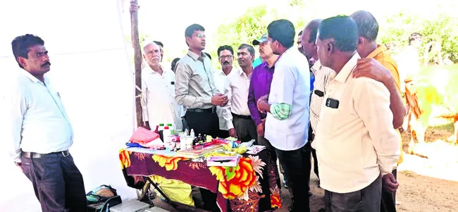 పాడి సంపదను పెంచుకోవాలి