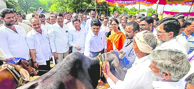 టీకాలతోనే గాలికుంటు నివారణ