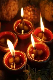 Diwali 2025: These 5 things bring home for wealth and prosperity7