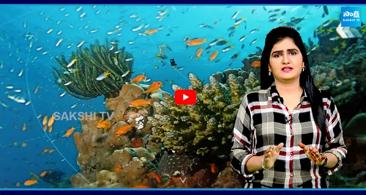 Earths First Climate: సముద్రానికి సమాధి
