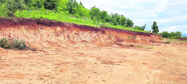 గుట్టబోర్లు హాంఫట్