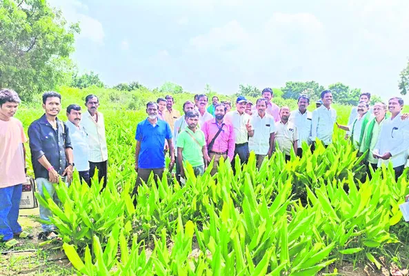 పసుపు పరిశోధన కేంద్రం సందర్శన