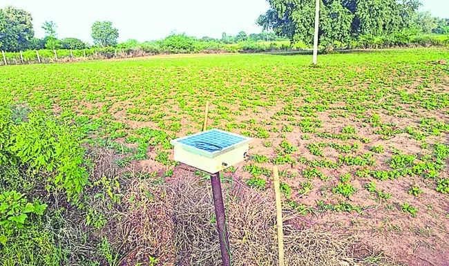 ప్రమాదాలు లేకుండా పంటకు రక్షణ